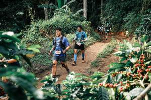 BIB: 
                            <button type="button" onclick="openModal(25856369)" class="btn btn-primary btn-sm float-right btn-popup" data-toggle="modal" data-target=".modal-high-quality">
                        <i class="fas fa-shopping-cart"></i> Add to Cart
                    </button>
                                            <button type="button" onclick="isThisMe(25856369, true)" class="btn btn-success btn-sm float-right btn-popup btn-isme hidden" data-toggle="tooltip" data-placement="bottom" title="นี่คือรูปของคุณใช่ไหม คลิกที่นี่เพื่อเอาเข้าอัลบั้ม">
                        <i class="fas fa-plus"></i> Add to album
                    </button>
                    <button type="button" onclick="isThisMe(25856369, false)" class="btn btn-warning btn-sm float-right btn-popup btn-isnotme hidden">
                        <i class="fas fa-ban"></i> Remove from album
                    </button>